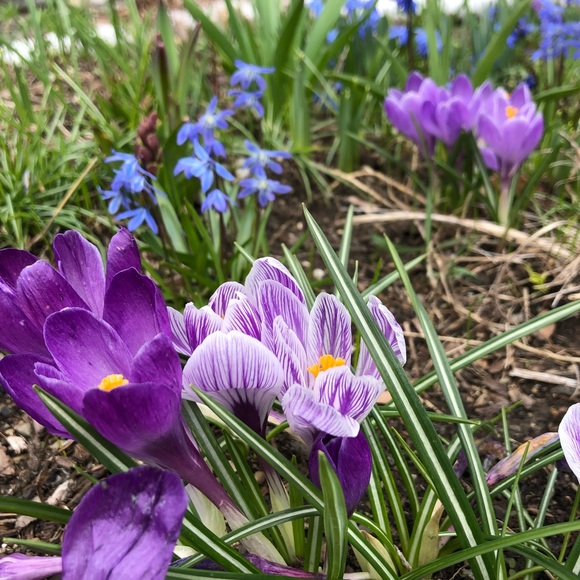 Meet your Posher, Kye - Picture 13 of 16